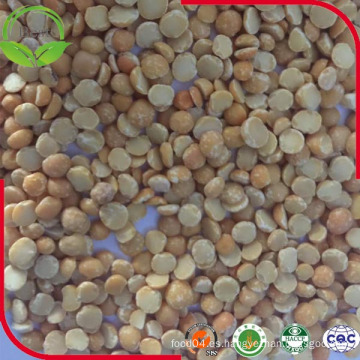 Mejor vendedor: Split Yellow Pigeon Peas